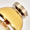 Gastor Kugel-Deckenleuchte mit gold-klarer Glaskugel, Altmessing, ø 20 cm