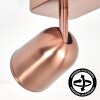 Lemak LED Deckenspot in Bronze, 2-flammiger Deckenstrahler dreh- und schwenkbar
