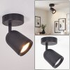 Moderner LED Deckenspot Lemak mit zylindrischem, dreh- und schwenkbarem Leuchtenkopf