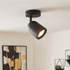 Moderner LED Deckenspot Lemak mit zylindrischem, dreh- und schwenkbarem Leuchtenkopf