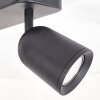 Lemak LED Deckenspot 2-flammig, GU10, dreh- und schwenkbare Metall-Spots