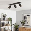 Lemak LED Deckenspot 3-flammig mit dreh- und schwenkbaren Metallspots