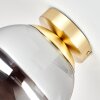 Gastor Kugel-Deckenleuchte mit rauchfarbenem Glasschirm, Messing, E27, Ø 20 cm