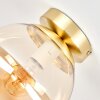 Gastor Deckenleuchte Glas-Kugel, bernsteinfarbener Glasschirm, E27 Retro