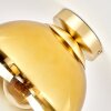 Gastor Deckenleuchte mit gold-klarer Glas-Kugel, Ø 25 cm, E27, Messing