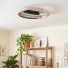 Calista flache runde LED Deckenleuchte Ø 29,5 cm mit goldfarbenem Metallring