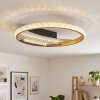 Calista flache runde LED Deckenleuchte Ø 29,5 cm mit goldfarbenem Metallring