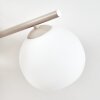 Koyoto sandfarbene Kugel-Deckenleuchte mit weißem Glasschirm ø 15 cm, 4-flammig