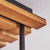 Koyoto Kugel-Deckenleuchte aus Tannenholz, 4-flammig, bunte Glasschirme