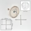 Moderne Cluster-Deckenleuchte Ripoll mit 5 klaren Glasschirmen, ø 15 cm, E14