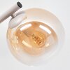 Wand-Kugelleuchte Gastor im 2er-Set mit 3 runden Glasschirmen in Klar, Rauch und Bernstein
