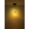 Minara NOWA LED Hängeleuchte mit mehrfarbigem Glasschirm aus Metall 3300 Lumen 3000 Kelvin IP20