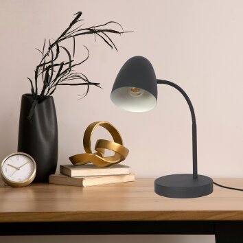 NOWA Jason schwenkbare Schreibtischlampe mit Kabel E14 25 Watt Schalter am Kabel