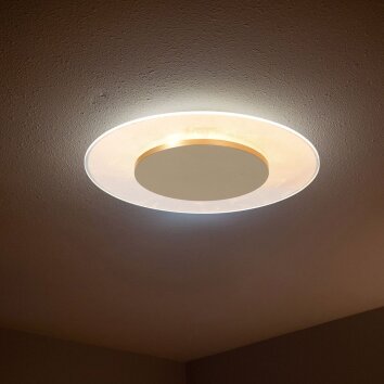 Steinhauer Lido LED dimmbare Deckenleuchte goldene Metall-Deckenleuchte modern