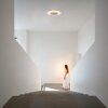 Steinhauer Lido LED Deckenleuchte aus Metall in Gold modern 2700 K 2200 Lumen dimmbar