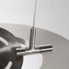 Steinhauer LED Pendelleuchte Soleil, flache Form, höhenverstellbar, 2700 Kelvin warmweiß