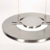 Steinhauer LED Pendelleuchte Soleil, flache Form, höhenverstellbar, 2700 Kelvin warmweiß
