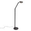 Steinhauer Ringlux 2-flammige dimmbare LED Stehlampe verstellbare Leselampe