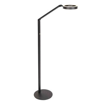 Steinhauer Ringlux 2-flammige dimmbare LED Stehlampe verstellbare Leselampe