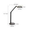 Steinhauer Ringlux LED Ring-Tischleuchte, dimmbar, mit Schalter 2700K 1000lm 5W