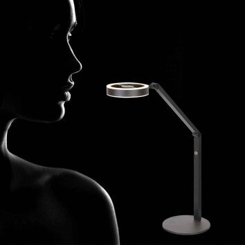 Steinhauer Ringlux LED Ring-Tischleuchte, dimmbar, mit Schalter 2700K 1000lm 5W