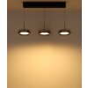 Globo Livion LED Hängeleuchte für Esstisch mit rauchfarbenem Glasschirm modern