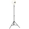 Globo Delgado LED Ringlicht-Stehlampe mit Stativ, dimmbar, 2700-6500 K