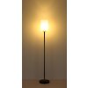 Globo Rowena Stehlampe Stehleuchte modern mit braunem Glasschirm E27 60 Watt Eichenholz