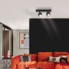 SCHÖNER WOHNEN-Kollektion KULU 2-flammige LED Deckenleuchte 3000K 450 lm 4,8 W
