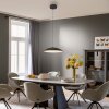 Schöner Wohnen-Kollektion LENTE halbrunde LED Pendelleuchte Esstisch 3000 K 2400 lm