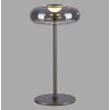 SCHÖNER WOHNEN-Kollektion POSH LED Tischleuchte in Grau mit rauchfarbenem Glasschirm