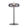 SCHÖNER WOHNEN-Kollektion POSH LED Tischleuchte in Grau mit rauchfarbenem Glasschirm