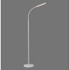Paul Neuhaus LED Stehlampe ELLY, Lichtfarbe einstellbar 3000 Kelvin warmweiß, verstellbar
