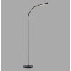 Paul Neuhaus Bogen-Stehlampe ELLY, verstellbar, Lichtfarbe einstellbar 2700-5000 Kelvin