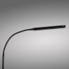 Paul Neuhaus Bogen-Stehlampe ELLY, verstellbar, Lichtfarbe einstellbar 2700-5000 Kelvin