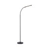 Paul Neuhaus Bogen-Stehlampe ELLY, verstellbar, Lichtfarbe einstellbar 2700-5000 Kelvin
