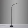 Paul Neuhaus Bogen-Stehlampe ELLY, verstellbar, Lichtfarbe einstellbar 2700-5000 Kelvin