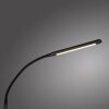 Paul Neuhaus Bogen-Stehlampe ELLY, verstellbar, Lichtfarbe einstellbar 2700-5000 Kelvin