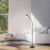 Leuchten Direkt Stehlampe LOKI, flexibler Bogenarm, verstellbar, 3000 Kelvin warmweiß