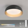 Leuchten Direkt LED-Deckenleuchte OSKO, Fernbedienung, Lichtfarbe einstellbar 3000 Kelvin