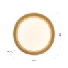 Leuchten Direkt LED-Deckenleuchte OSKO, Fernbedienung, Lichtfarbe einstellbar 3000 Kelvin