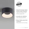 Leuchten Direkt Runde LED Deckenleuchte TANIKA mit Memoryfunktion, 3000 Kelvin warmweiß