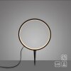 Leuchten Direkt LED Ring-Erdspießleuchte ZIRKULU, runder Rahmen, 3000 Kelvin warmweiß