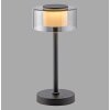 Paul Neuhaus LED Tischleuchte RIKA mit Memoryfunktion und zylindrischem Rauchglasschirm
