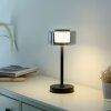 Paul Neuhaus LED Tischleuchte RIKA mit Memoryfunktion und zylindrischem Rauchglasschirm