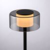 Paul Neuhaus LED Tischleuchte RIKA mit Memoryfunktion und zylindrischem Rauchglasschirm
