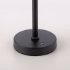 Paul Neuhaus LED Tischleuchte RIKA mit Memoryfunktion und zylindrischem Rauchglasschirm