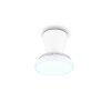 Reality LED Deckenventilator Moss, Lichtfarbe einstellbar 2700-6500 Kelvin
