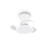Reality LED Deckenventilator Moss, Lichtfarbe einstellbar 2700-6500 Kelvin