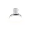 Reality LED Deckenventilator Tampere, Lichtfarbe einstellbar 2700-6500 Kelvin